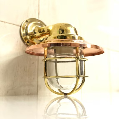 Brass Swan Shade Lights